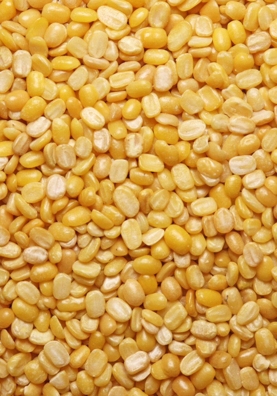 AdobeStock_1493464857_komp