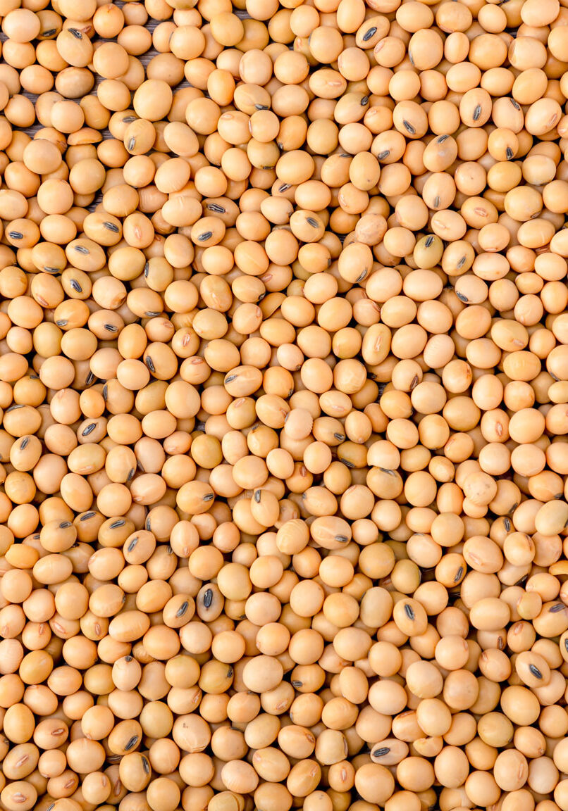 AdobeStock_384139857_komp