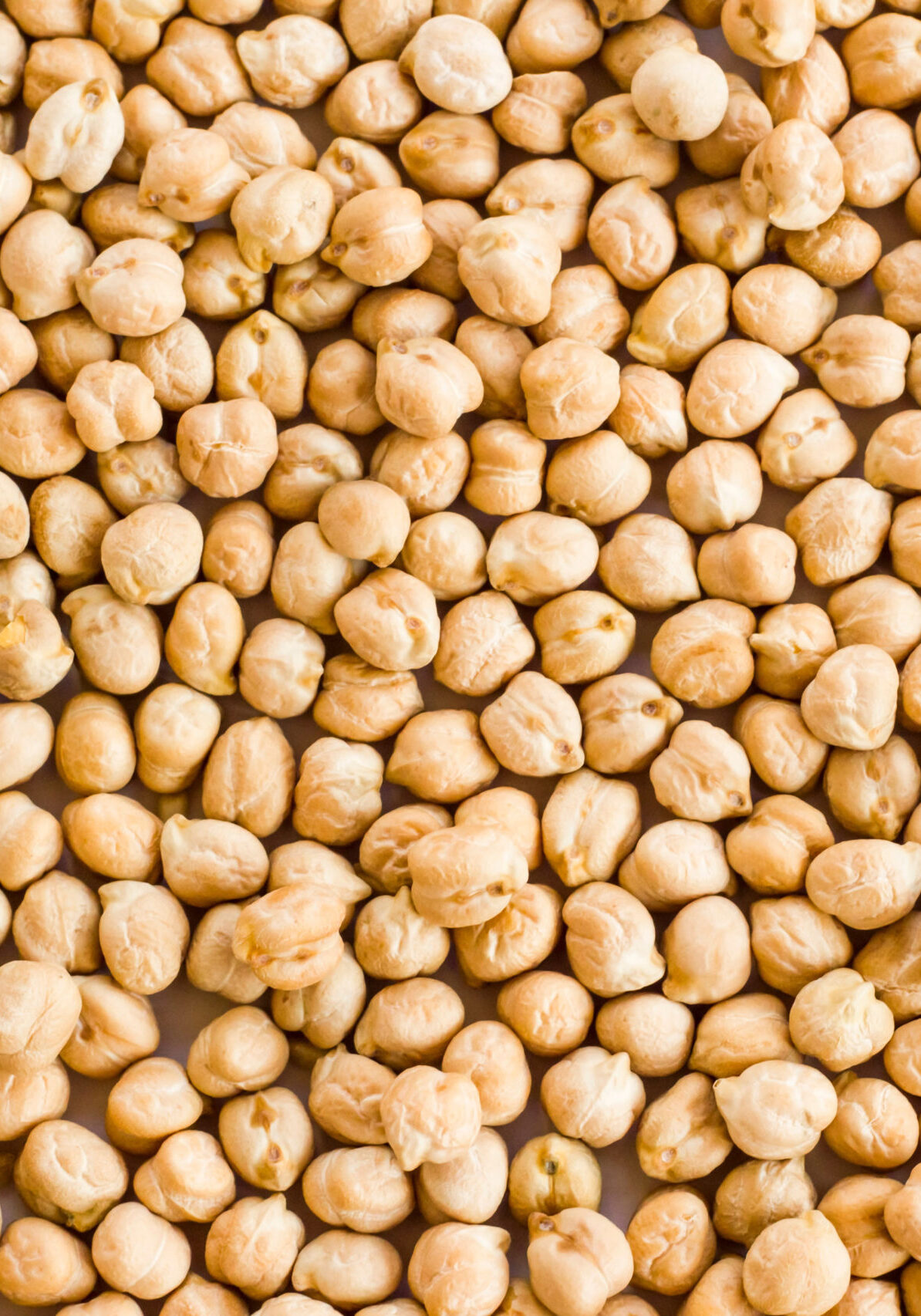 shutterstock_1820988527_komp