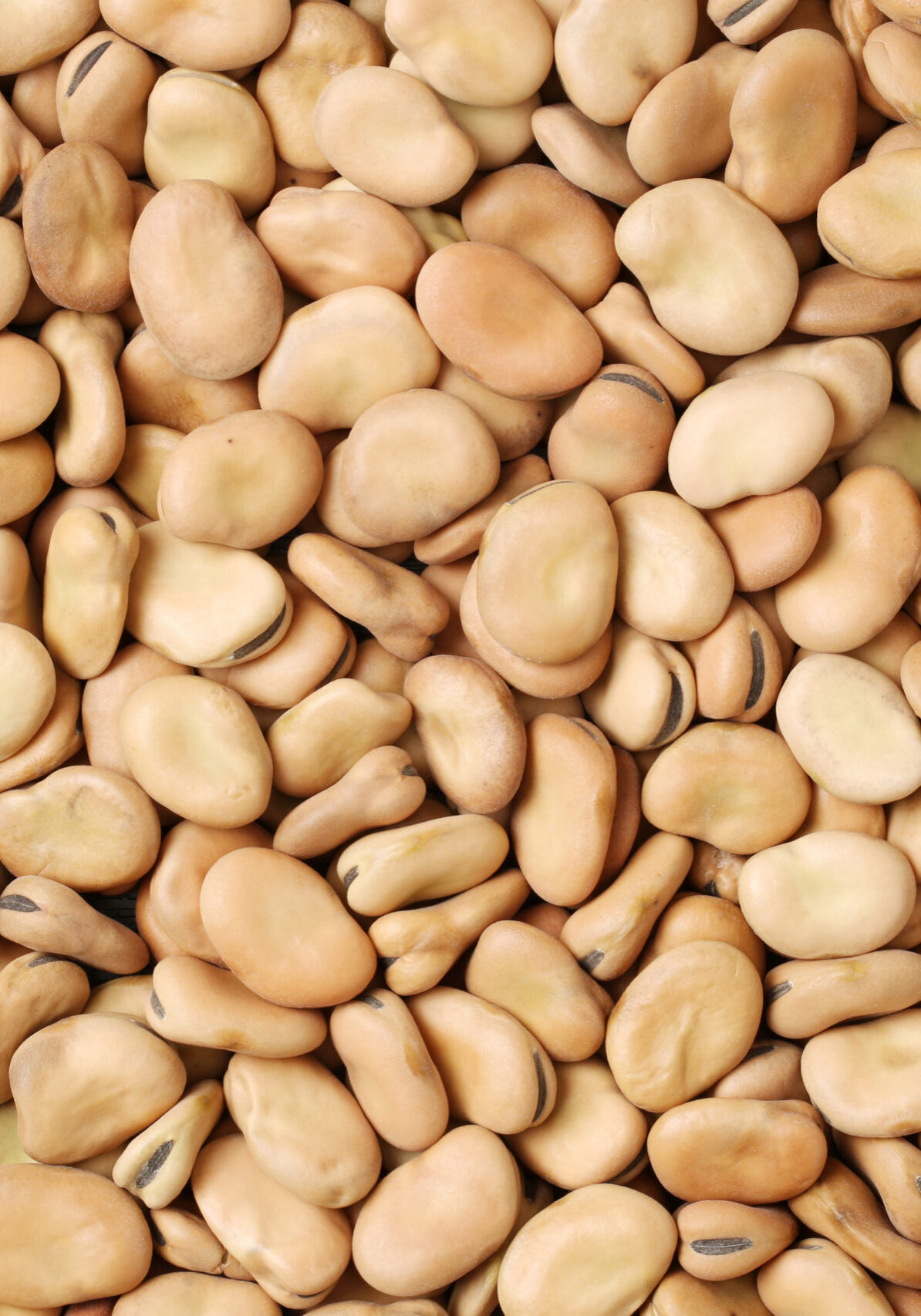 shutterstock_394361944_komp